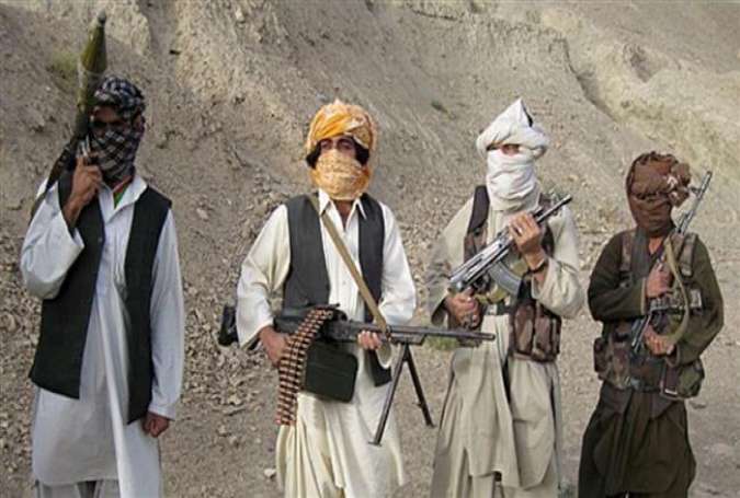 Taliban Undang Senator AS ke Qatar