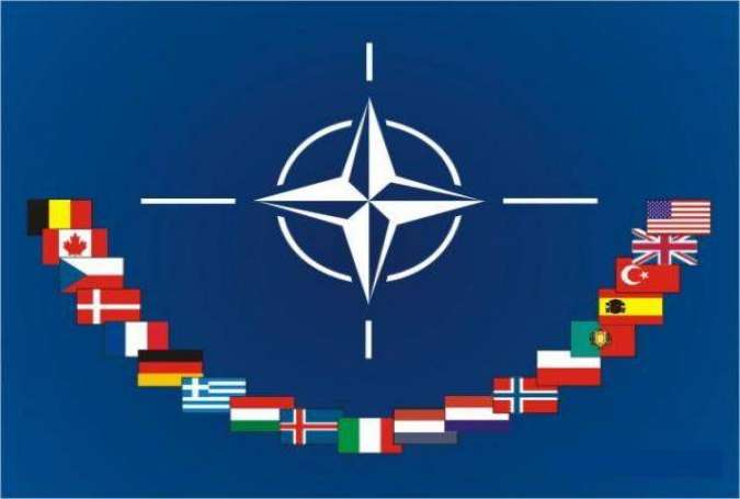 الناتو: ندعم تركيا والتحالف الدولي المناهض لتنظيم داعش