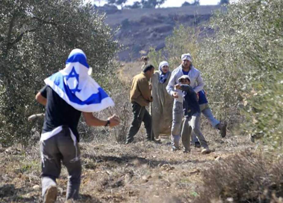 Israeli’ settlers steal Palestinian farmers’ fand in occupied West Bank