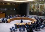 تصویب قطعنامه شورای امنیت علیه یمن/ روسیه: تشدید تنش در غزه دلیل اصلی وضعیت کنونی دریای سرخ است
