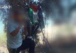 Palestinian Resistance showing its fighters firing mortar shells at Israeli occupation sites