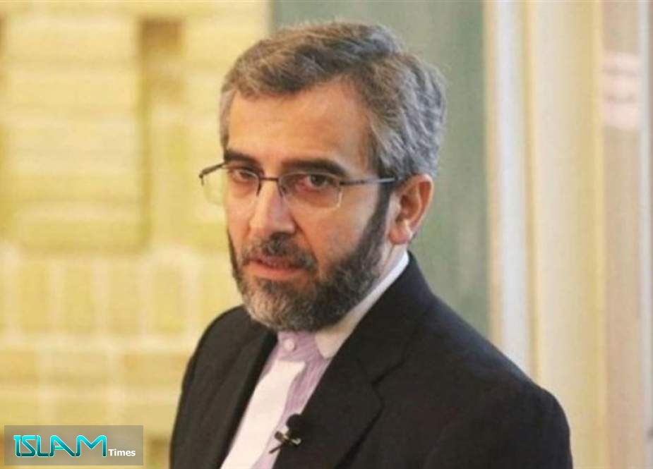 باقري: إيران من أكثر الدول نشاطا لإيجاد عالم خال من الأسلحة الكيميائية