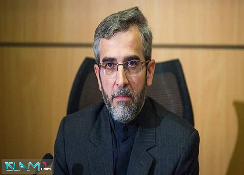Iran Acting FM: West Uses Intl. Mechanisms to Allow for Israeli Crimes