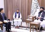 سفیر ژاپن در کابل با معاون سیاسی نخست‌وزیر طالبان دیدار کرد